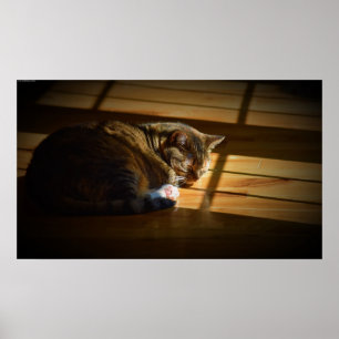 Affiche Jours Lents,