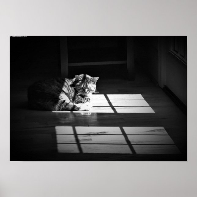 Affiche Jours Lents, (Devant)