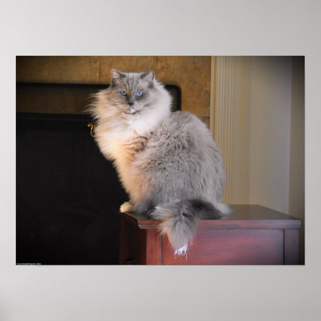 Affiche Jours Lents, (Devant)