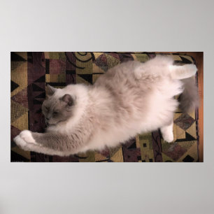 Affiche Jours Lents,