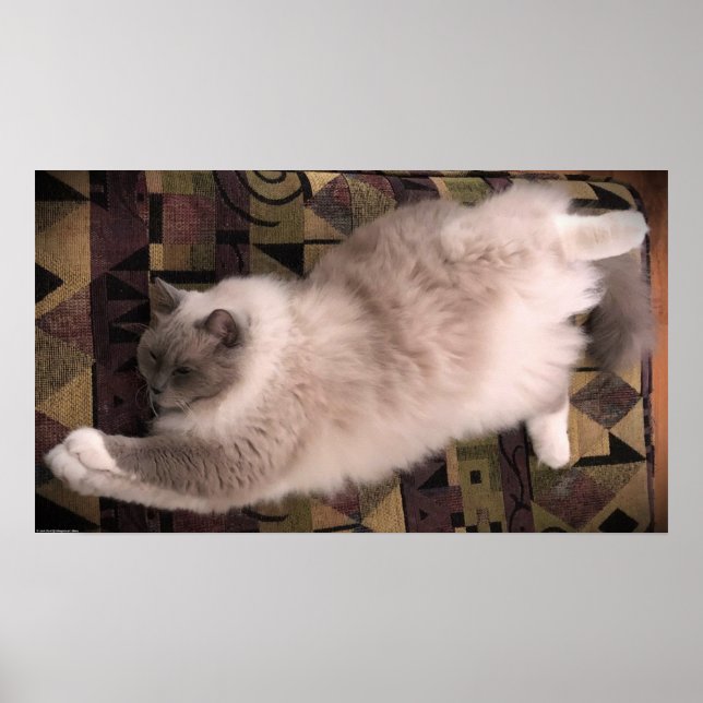 Affiche Jours Lents, (Devant)