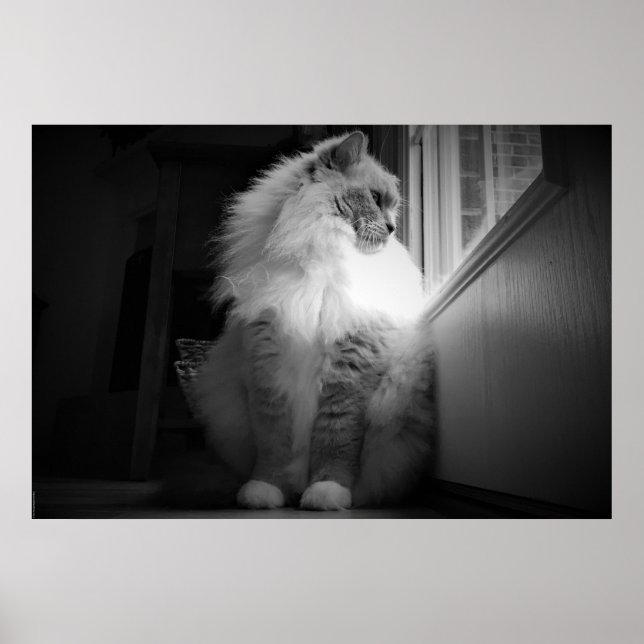 Affiche Jours Lents, (Devant)