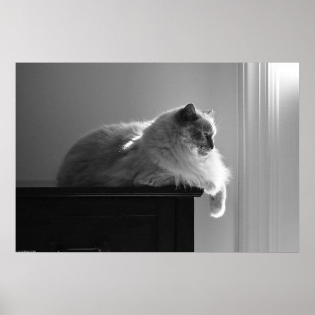 Affiche Jours Lents, (Devant)