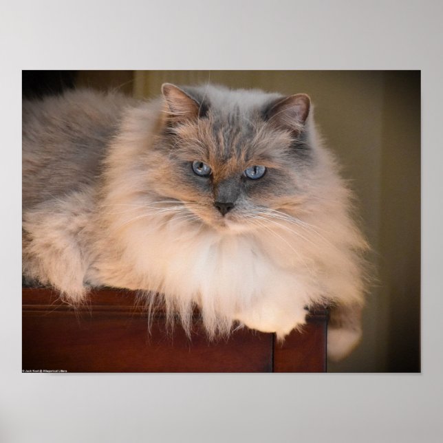 Affiche Jours Lents, (Devant)