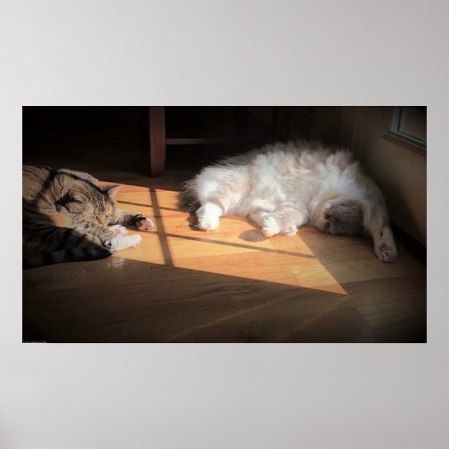 Affiche Jours Lents, (Devant)