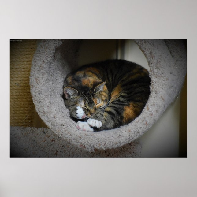 Affiche Jours Lents, (Devant)