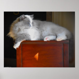 Affiche Jours Lents,