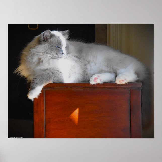 Affiche Jours Lents, (Devant)