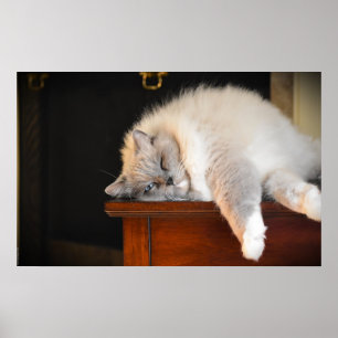 Affiche Jours Lents,