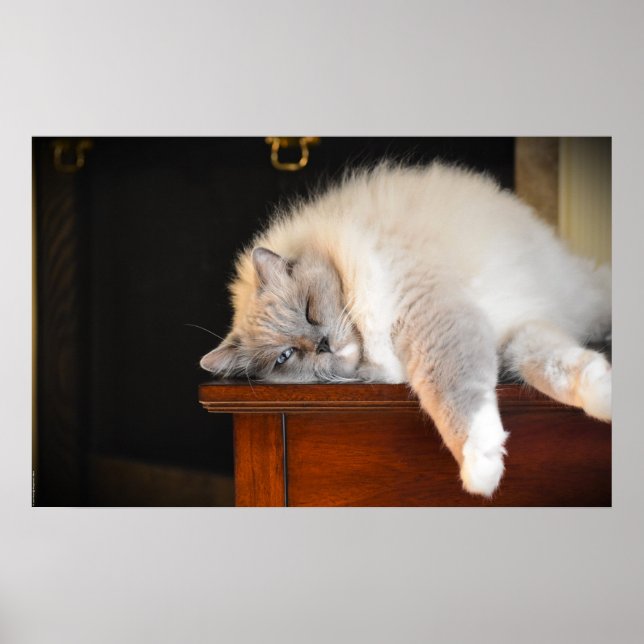 Affiche Jours Lents, (Devant)