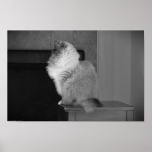 Affiche Jours Lents,