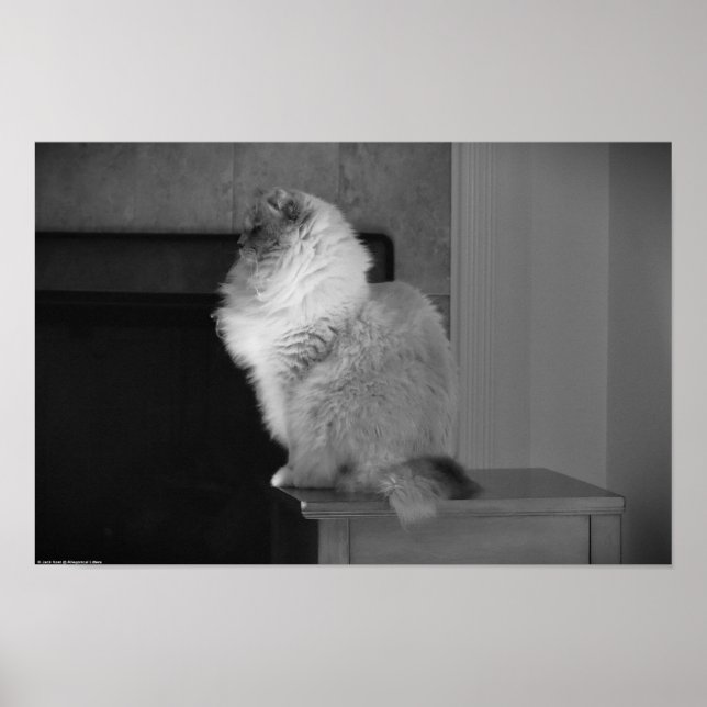 Affiche Jours Lents, (Devant)