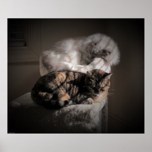 Affiche Jours Lents,