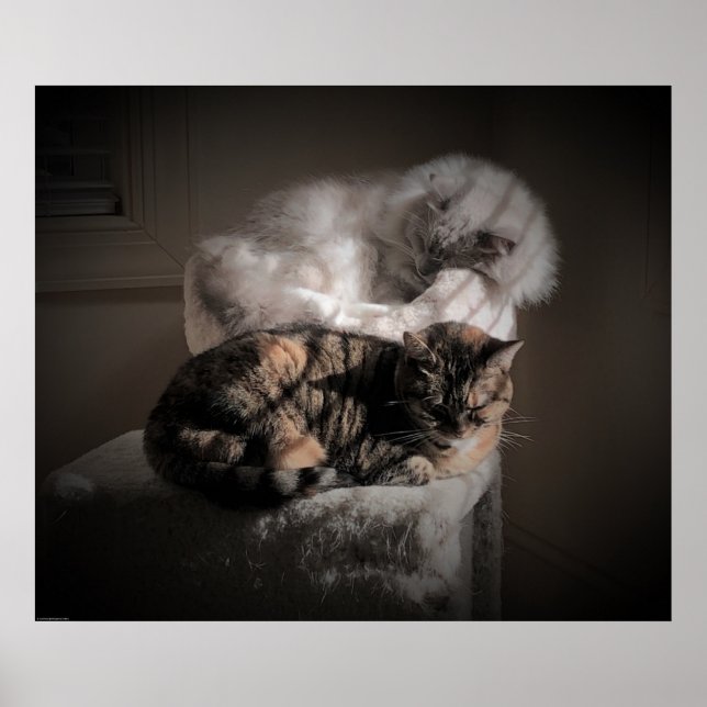 Affiche Jours Lents, (Devant)