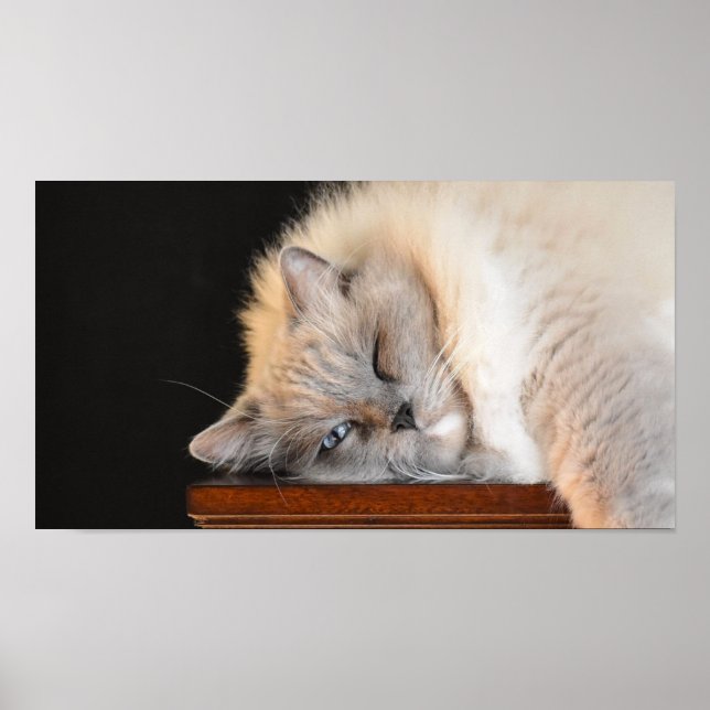 Affiche Jours Lents, (Devant)