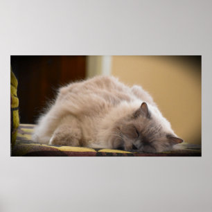 Affiche Jours Lents,