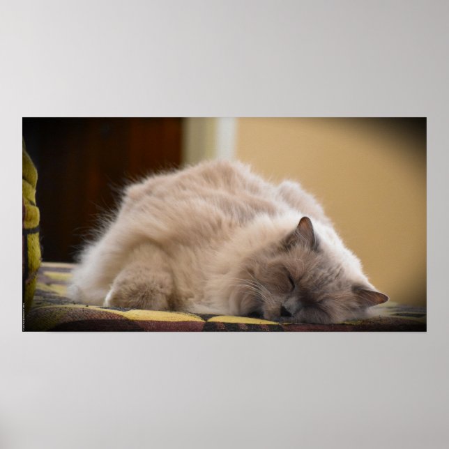 Affiche Jours Lents, (Devant)