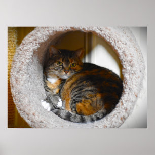 Affiche Jours Lents,