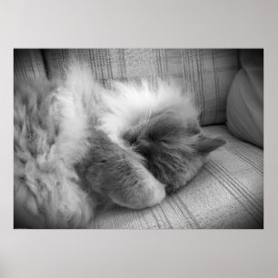 Affiche Jours Lents,