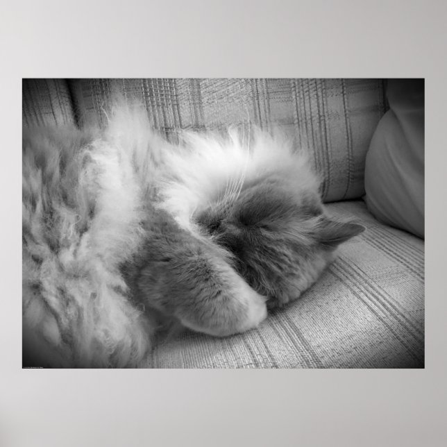 Affiche Jours Lents, (Devant)