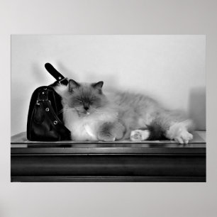 Affiche Jours Lents,