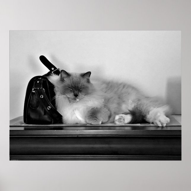 Affiche Jours Lents, (Devant)