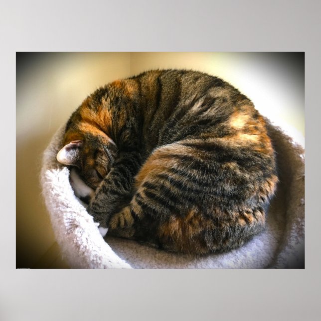 Affiche Jours Lents, (Devant)