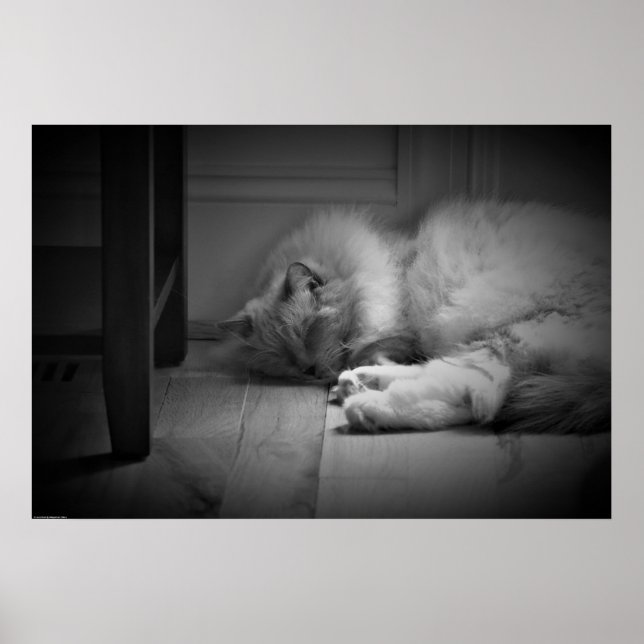 Affiche Jours Lents, (Devant)