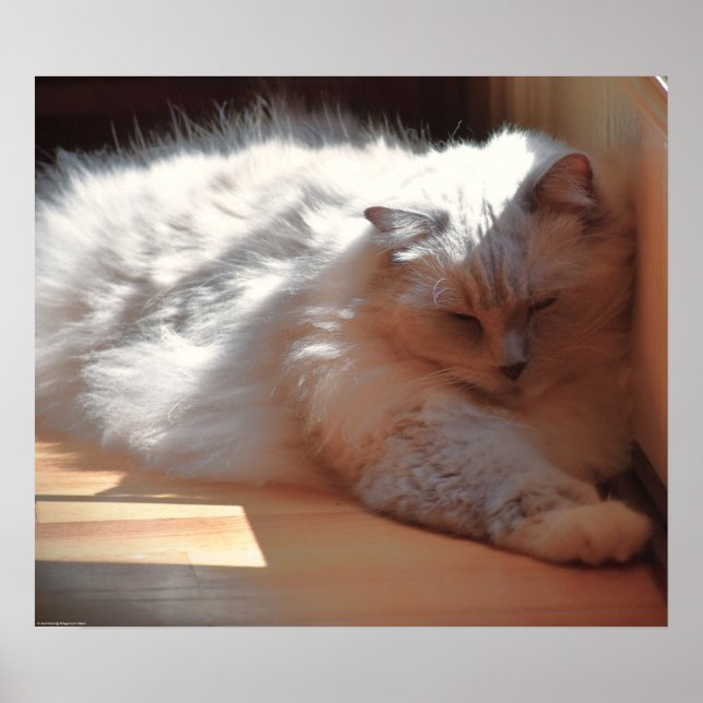 Affiche Jours Lents, (Devant)