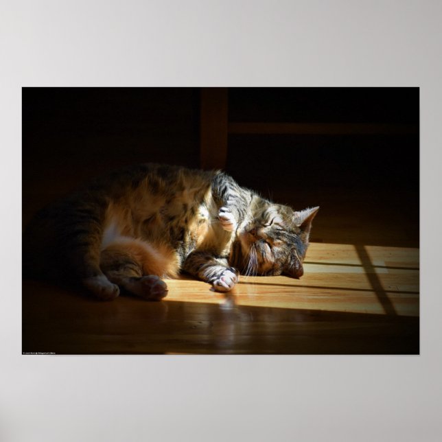 Affiche Jours Lents, (Devant)