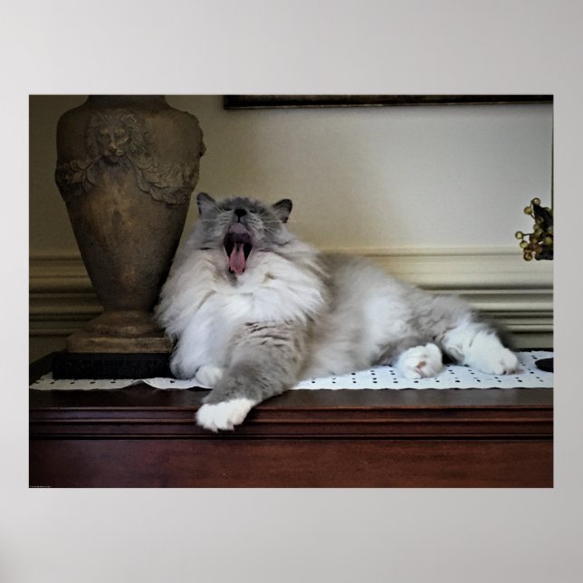 Affiche Jours Lents, (Devant)