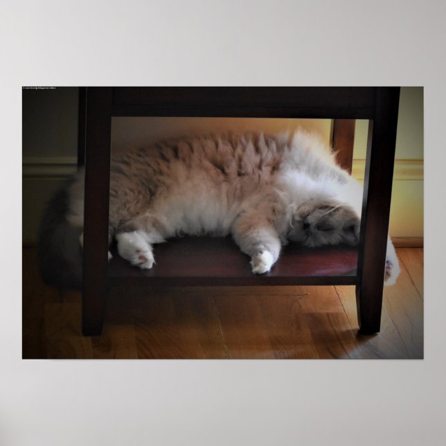 Affiche Jours Lents, (Devant)