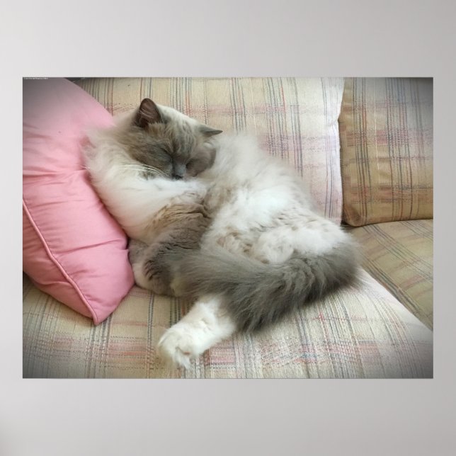 Affiche Jours Lents, (Devant)