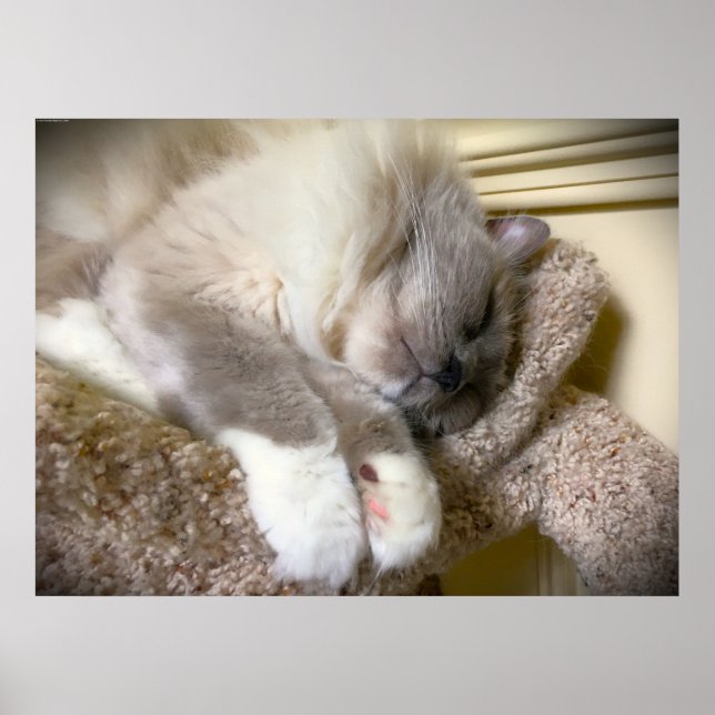 Affiche Jours Lents, (Devant)