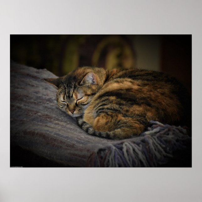 Affiche Jours Lents, (Devant)