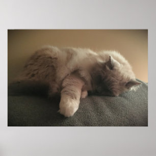 Affiche Jours Lents,