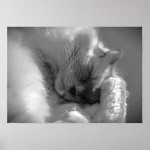 Affiche Jours Lents,