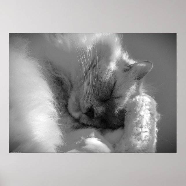 Affiche Jours Lents, (Devant)