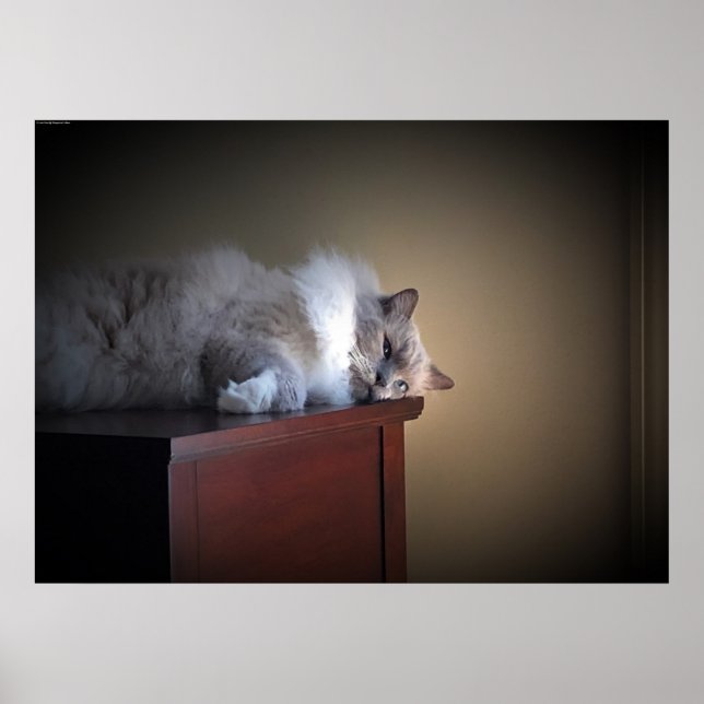 Affiche Jours Lents, (Devant)