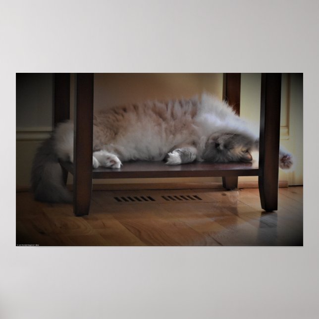 Affiche Jours Lents, (Devant)