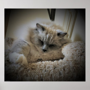 Affiche Jours Lents,