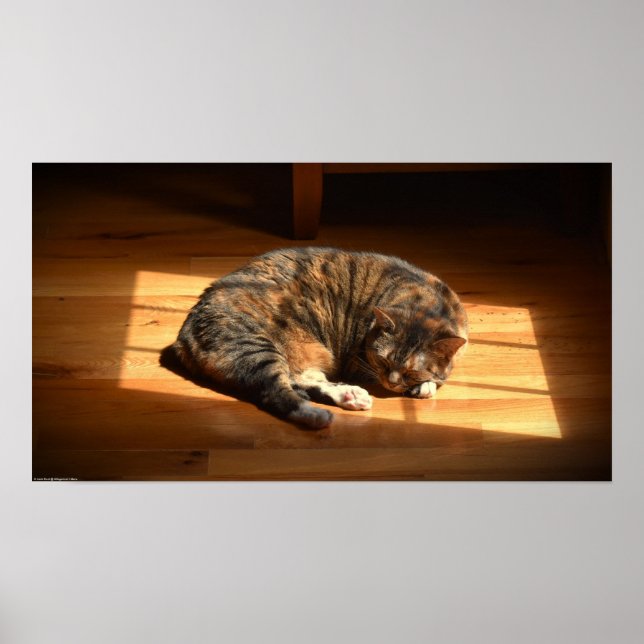 Affiche Jours Lents, (Devant)