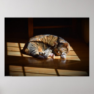 Affiche Jours Lents,