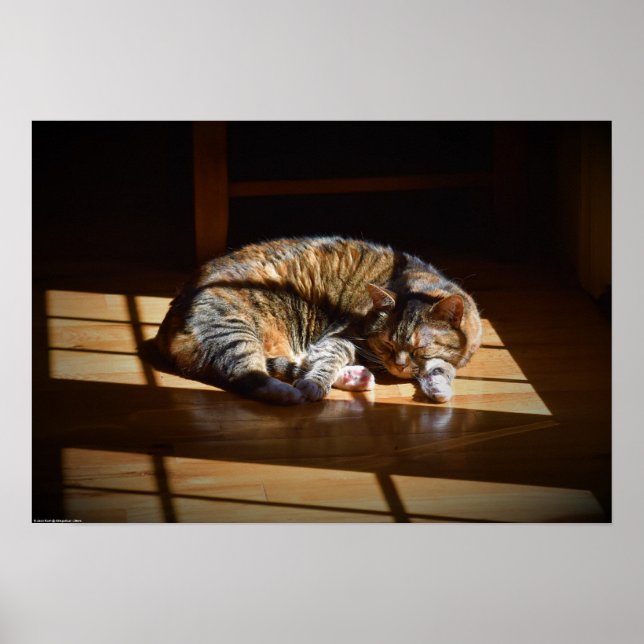 Affiche Jours Lents, (Devant)