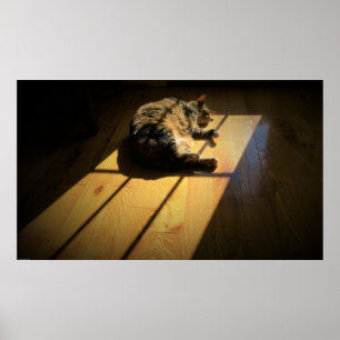 Affiche Jours Lents,