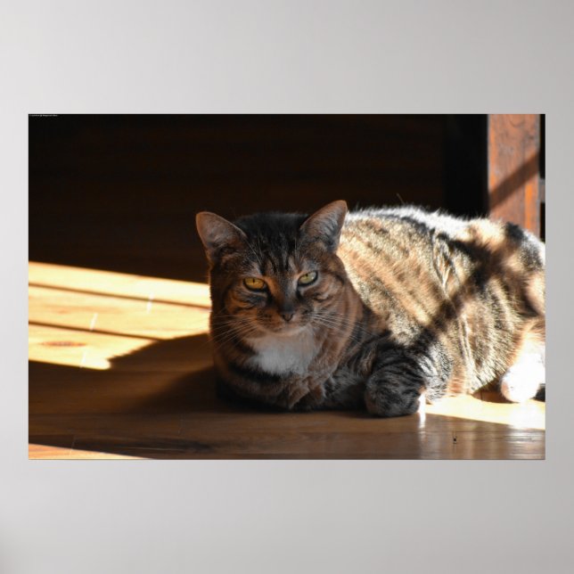 Affiche Jours Lents, (Devant)