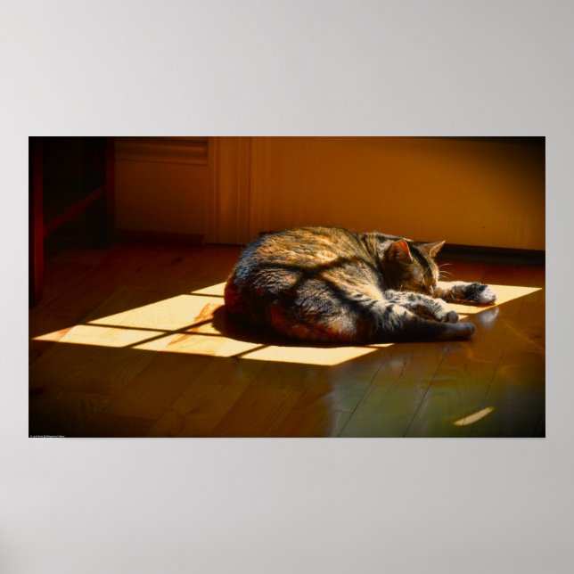 Affiche Jours Lents, (Devant)