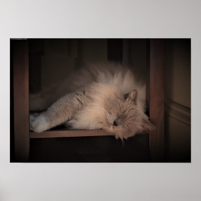 Affiche Jours Lents, (Devant)