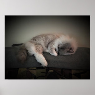 Affiche Jours Lents,