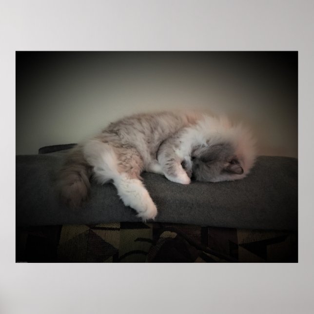 Affiche Jours Lents, (Devant)